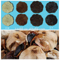 Japanese Black Garlic